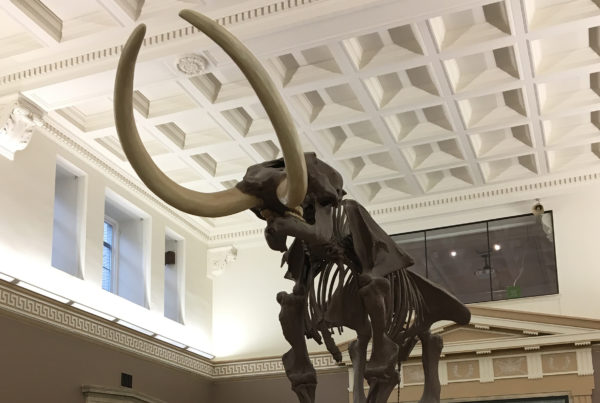 7 Reasons to Host Your Next Event at the Buffalo Museum of Science