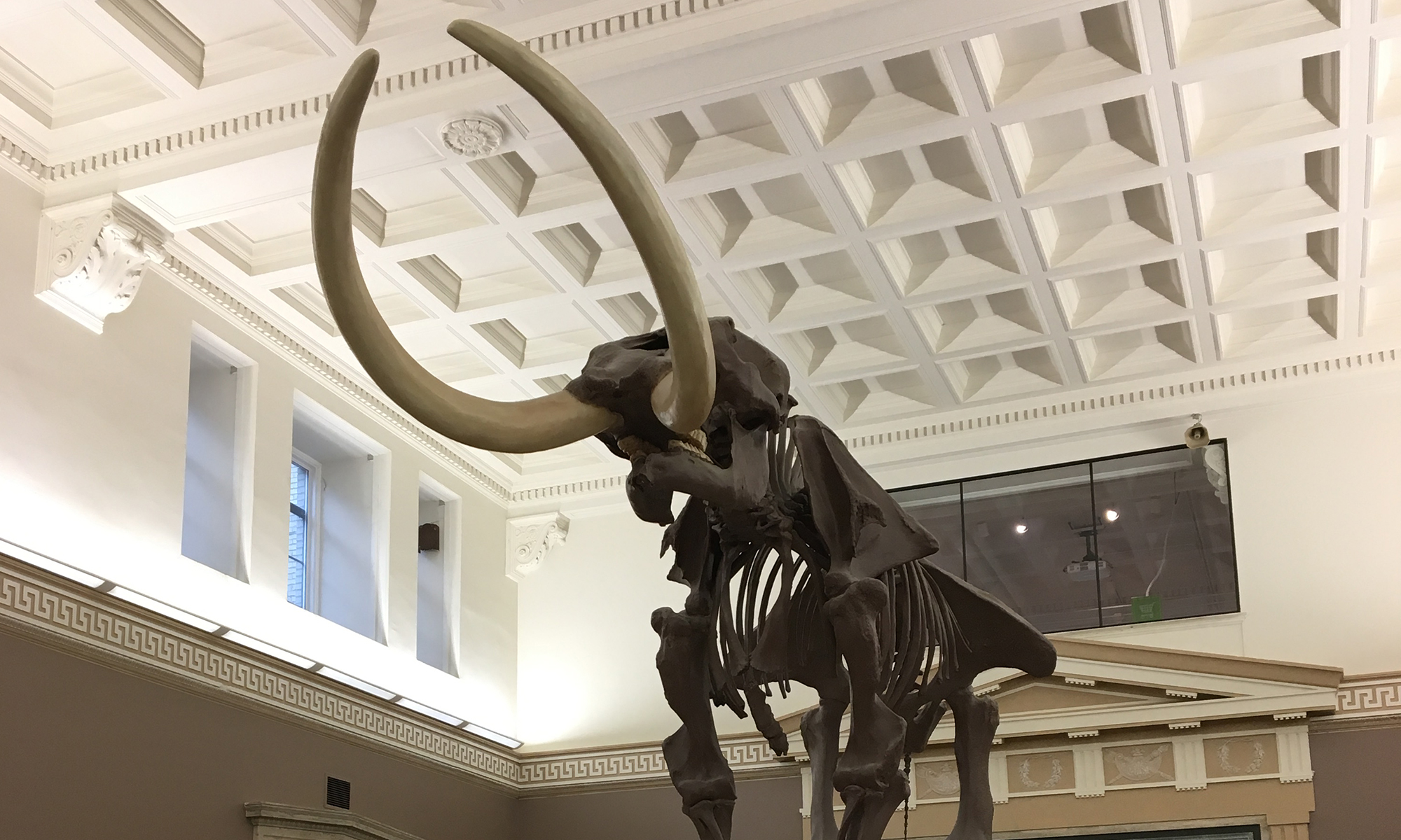 7 Reasons to Host Your Next Event at the Buffalo Museum of Science